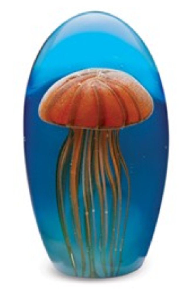クラゲ　アクアリウム Amazon.co.jp: Dynasty Gallery クラゲ水槽 オレンジグロー 高さ6.5